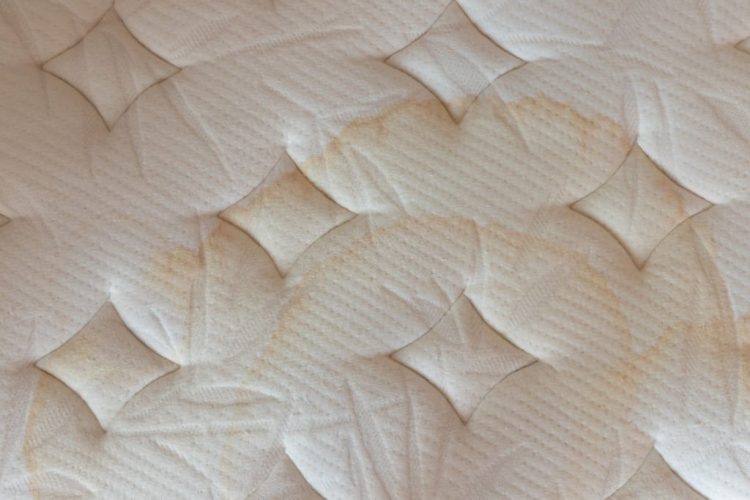 How To Get Pee Smell Out Of Mattress? Effective Methods